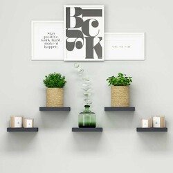 Root Divar Rəfi - Antrasit - Modev