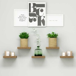 Root Divar Rəfi - Cəviz - Modev