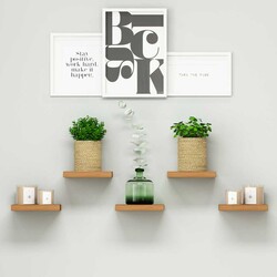 Root Divar Rəfi - Cəviz - Modev