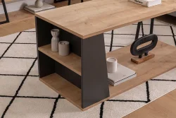 Lissa Jurnal Masası - Meşə/Antrasit - 4