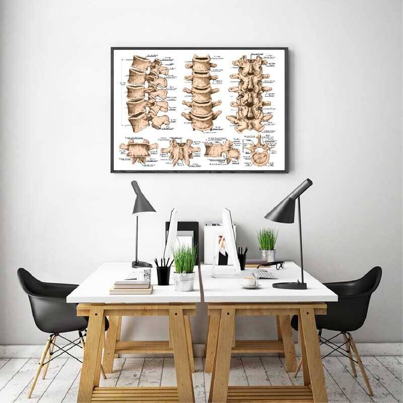 Lumbar Spine Structure Chart Medicine Kətan Tablo - 2