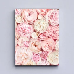 Peonies Kətan Tablo TB2106 - 2