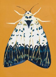 Siyah Kanatlı Kelebek Kətan Tablo - Markaev