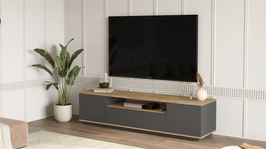 Vegase Tv Stend - Antrasit/Meşə - 4