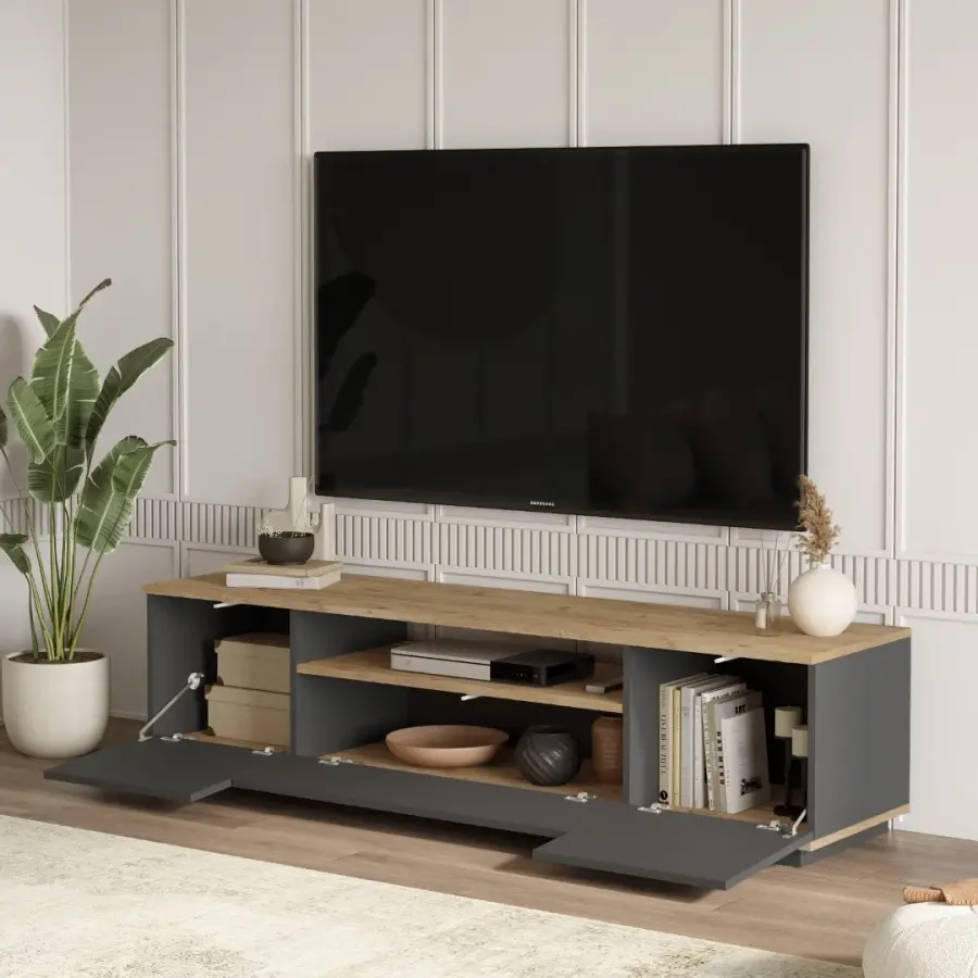 Vegase Tv Stend - Antrasit/Meşə - 2