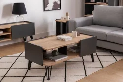 Viper Jurnal Masası - Meşə/Antrasit - 1